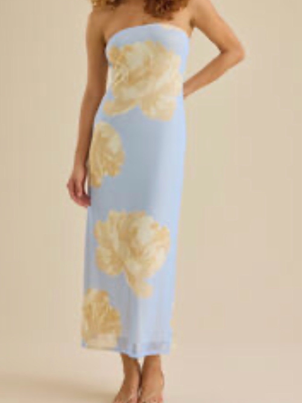 Altar'd State XS Blue Mesh Strapless  Dress with Cream Floral Print